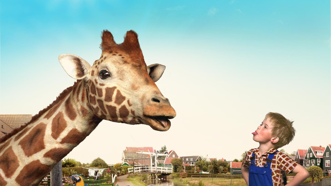 (My Giraffe/Dikkertje Dap, 2017) Film