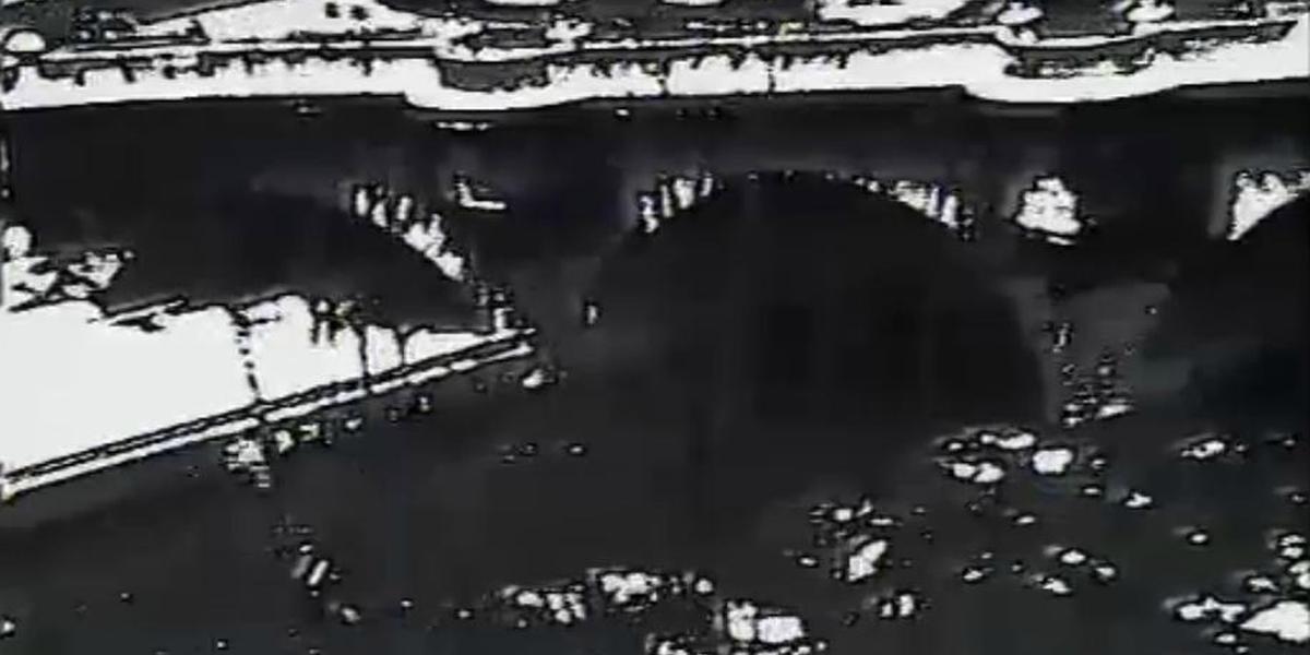 Tri filma Haikua (Tchaïka, 1994) Film