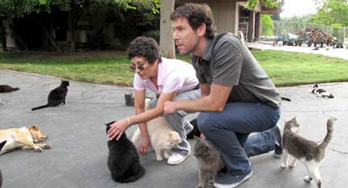 Must Love Cats