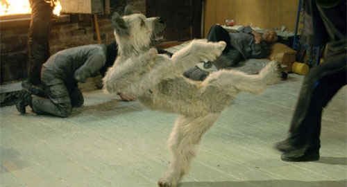 Karate pas
