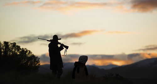 Lov Na Divljake Hunt For The Wilderpeople 2016 Film