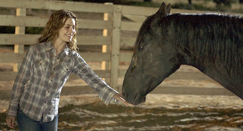 Flicka 