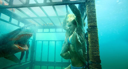 Shark Night