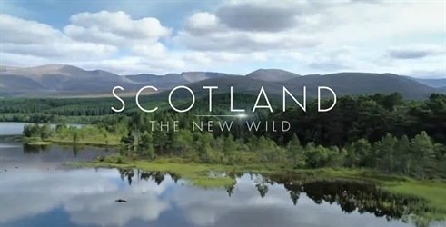 Škotska: nova divljina