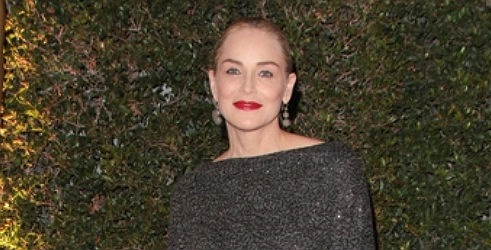 Sharon Stone vraća se u erotskom trileru Attachment