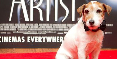 Pas Uggie iz filma Umjetnik nagrađen Zlatnom ogrlicom