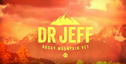 Dr. Jeff: Veterinar sa Stjenjaka