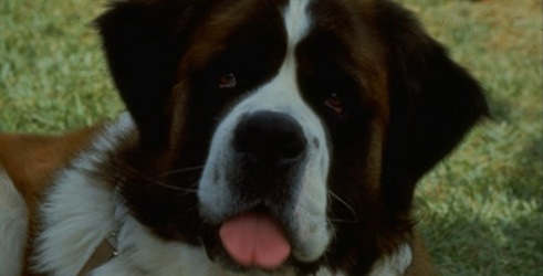 Beethoven