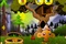 Monkey go happy