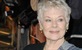 Oskarovka Judi Dench bori se protiv gubitka vida