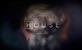 Dr. House