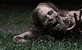 ABC naručio već i drugu sezonu serije 'The Walking Dead'