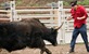 Jackass broj dva