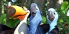 /images/a9a2a822-4985-4cd7-bc5a-999d2b4a7578.jpg