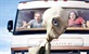 Video: Trailer za novi film "Paul"