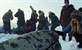 Drew Barrymore spašava kitove u novom filmu "Big Miracle"