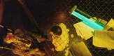 Forbrydelsens element / The Element of Crime