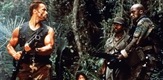 Predator