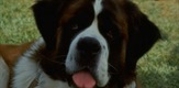 Beethoven