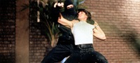 Američki Ninja 3
