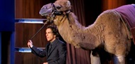 Video: Ben Stiller doveo devu u studio