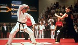 Karate kid 3