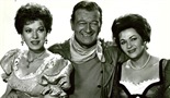 McLintock!