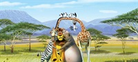 Madagaskar 2