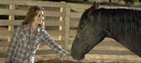 Flicka 