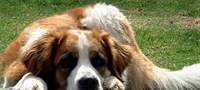 Beethoven 5