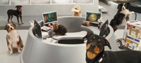 O mačkama i psima 2: Osveta Kitty Galore 3D