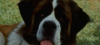 Beethoven