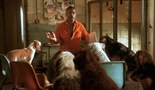 Doktor Dolittle 2