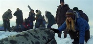 Drew Barrymore spašava kitove u novom filmu 