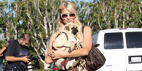 Paris Hilton uhapšena zbog posjedovanja kokaina