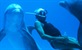 Stiže "Čovjek delfin", priča o legendarnom roniocu na dah