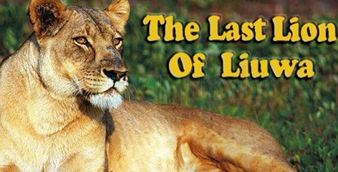 Posljednji lav Liuwe