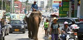 Tajlandsko naslijeđe: Vodiči slonova u Bangkoku