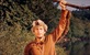 Davy Crockett - kralj divlje granice