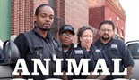 Živalska policija Miamija 