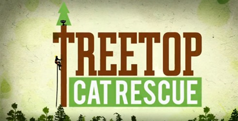Mačka na drvetu Spasavanje