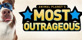 Animal Planet: Najneobičnije