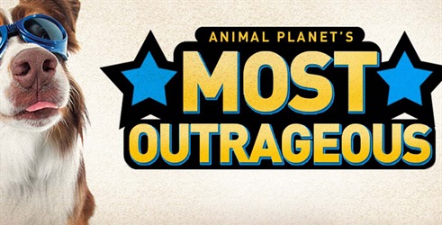 Animal Planet: Najneobičnije