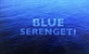 Plavi Serengeti