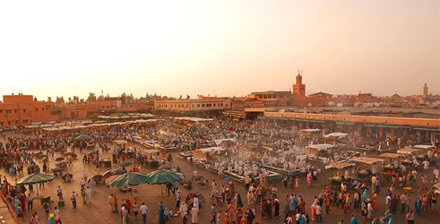 Divlji Maroko