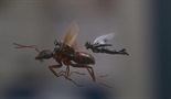 Ant-Man i Wasp