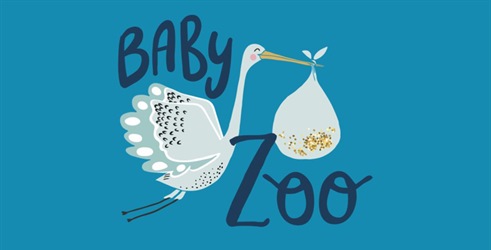 Baby Zoo