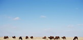 Divlja Mongolija: Zemlja ekstrema