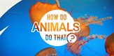 Kako životinje to rade?