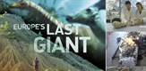 Europe's Last Giant / L'ultim gegant d'Europa